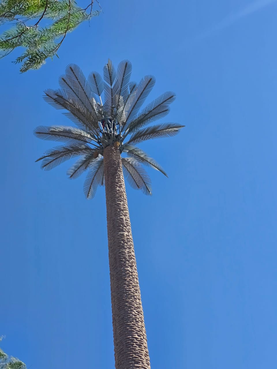 Technician climbing a lattice tower