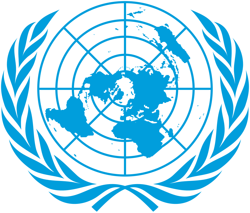International Organizations logo